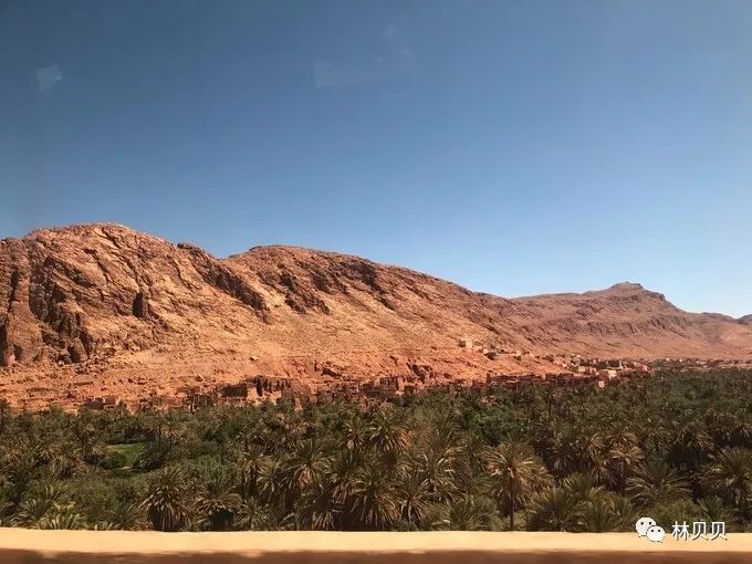 摩洛哥10天,摩洛哥12天瘦5斤减肥成功案例