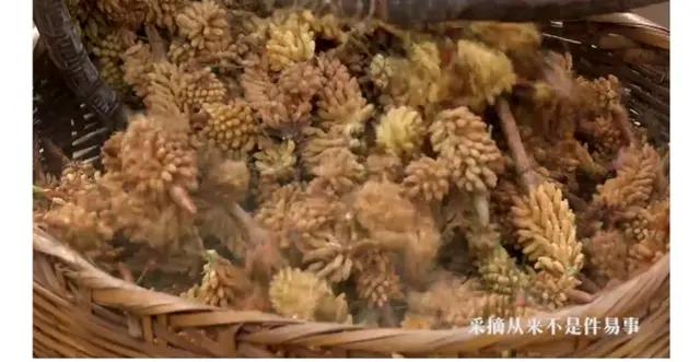 松花粉可以做哪些美食,松花粉做糕点是什么味道