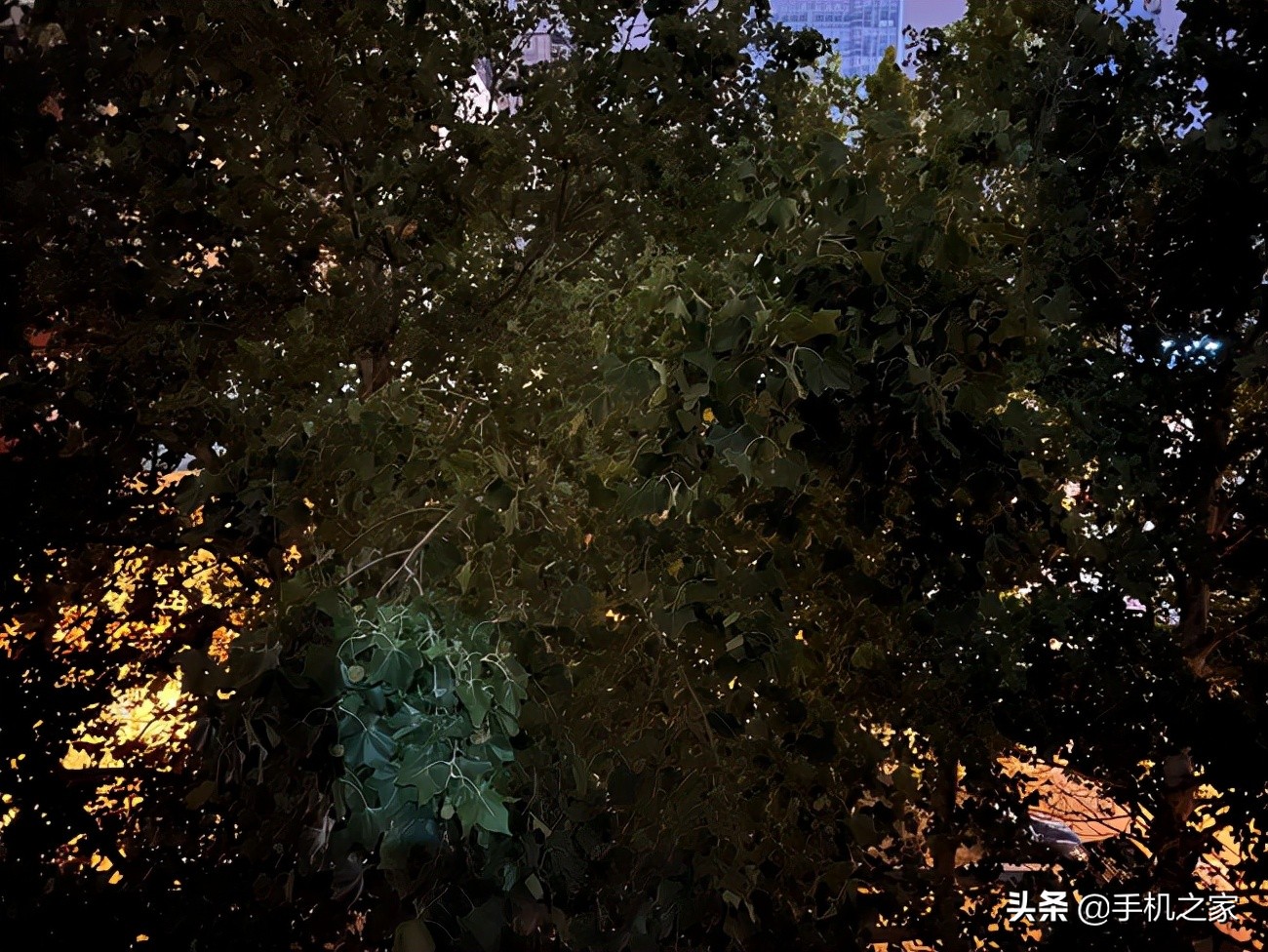 从iphonese1换到se2,从se2换se3什么感觉