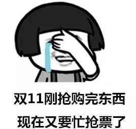 网警提醒验证码,12306账号密码泄露后果