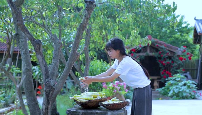 李子柒竹笋的全部视频,李子柒摘竹笋的视频