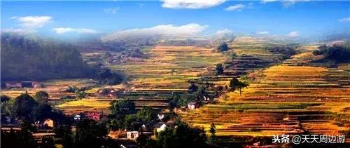 寻找广东最美古道秋景