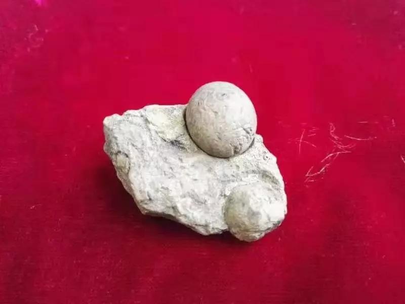 贵山贵水出处,世界茶叶三大发源地