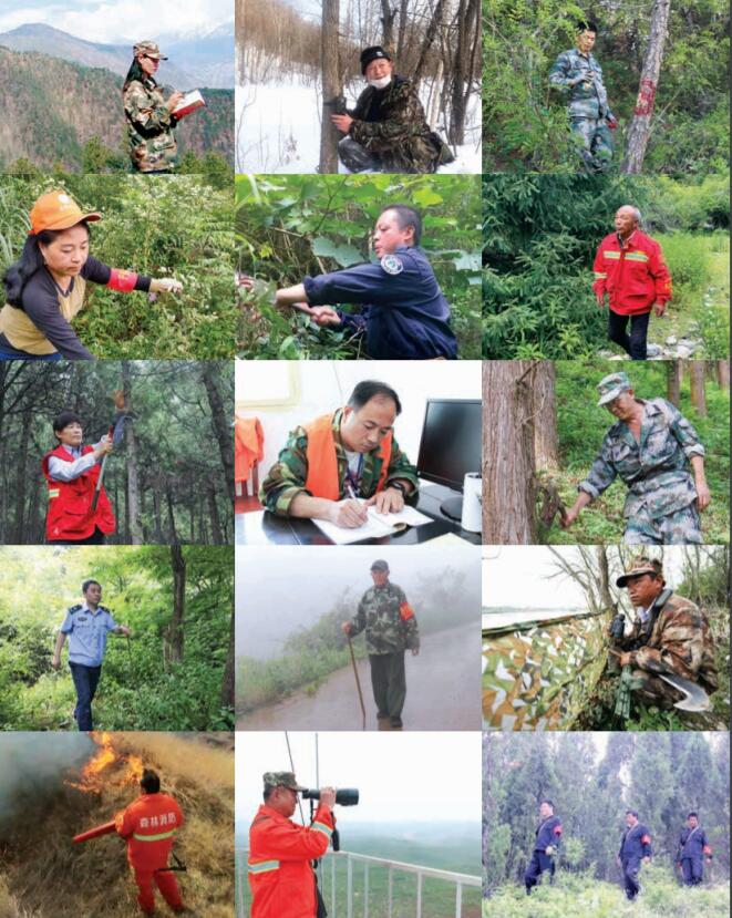最美护林员20年守护山林,最美护林员瞭望台