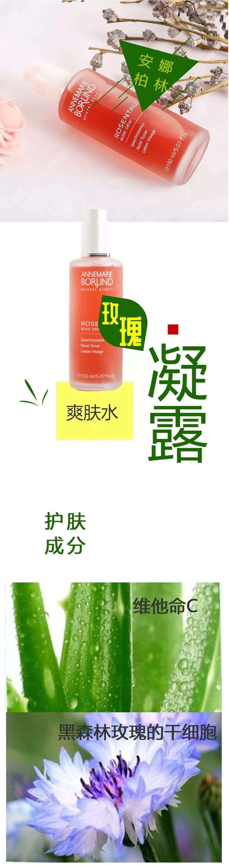 七个爽肤水的必备常识,爽肤水最基本成分