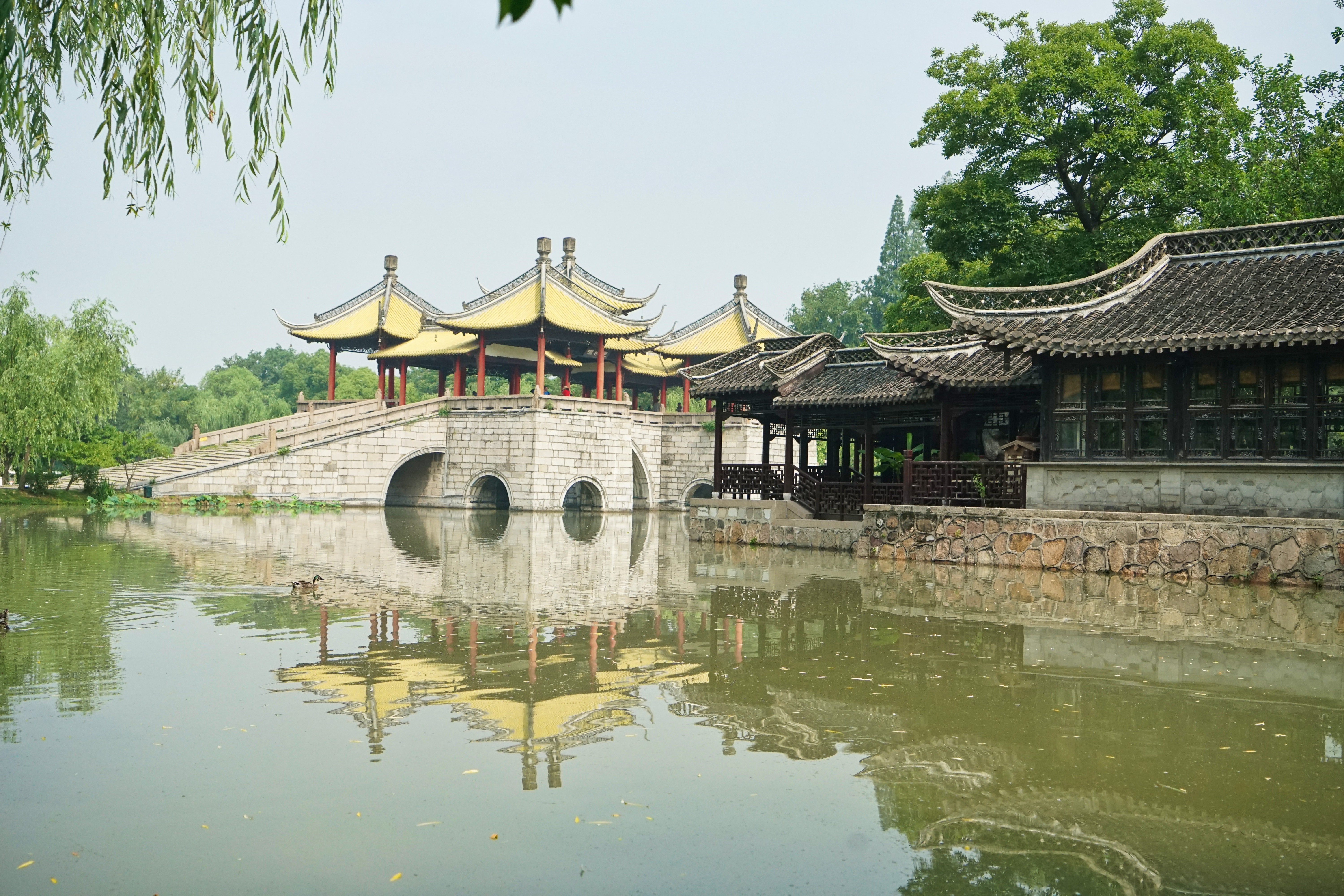 扬州五天游,扬州五天四晚游