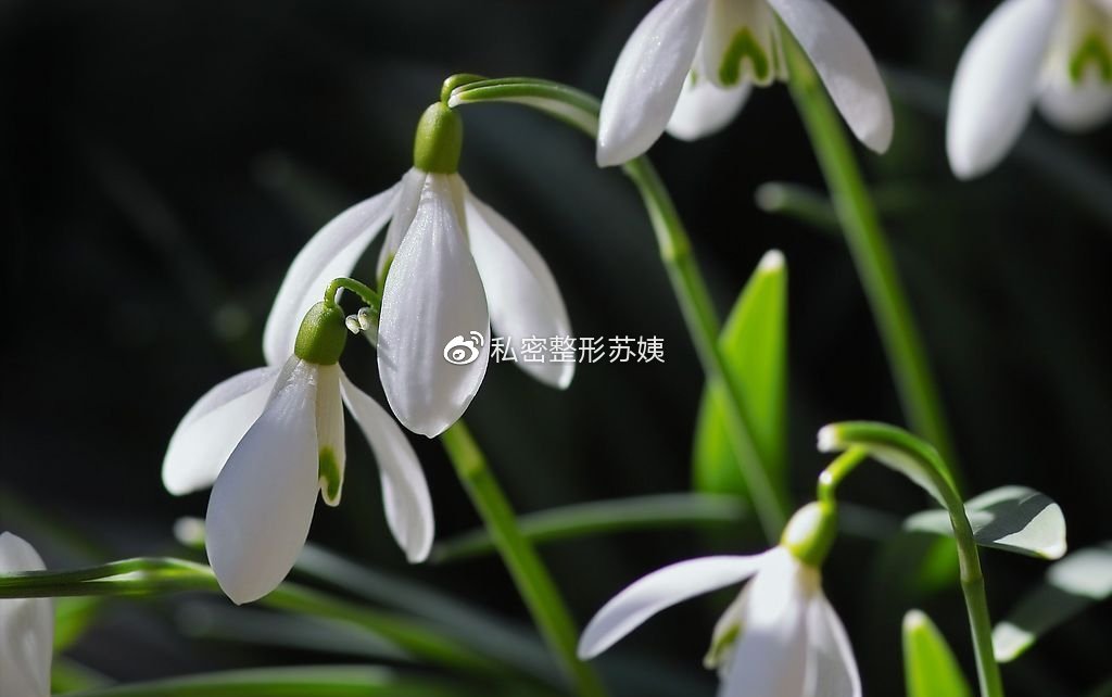 女人下身有豆腐渣现象普遍吗,私密豆腐渣