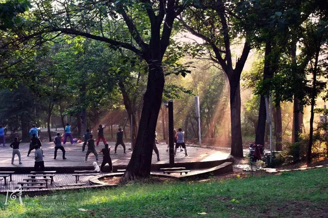 “五一”去哪玩？这份指南汇集潍坊各大景区精华，线路+门票优惠