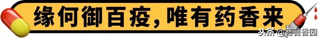 鏈嶆皵鐨勬湇鎷奸煶,杈熻胺鏈嶆皵涓庢湇楗电殑鍖哄埆