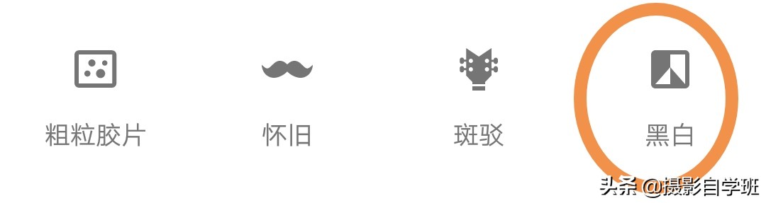 怎么拍出有质感的植物,如何拍出植物特别绿