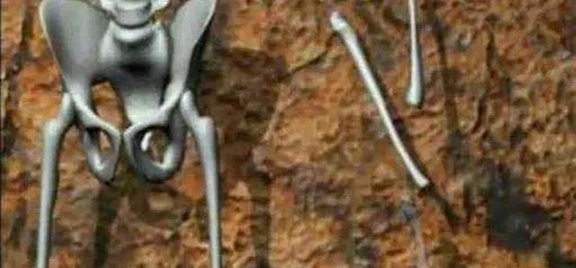 考古发现200万年前的一群人,考古发现四千年前华夏人