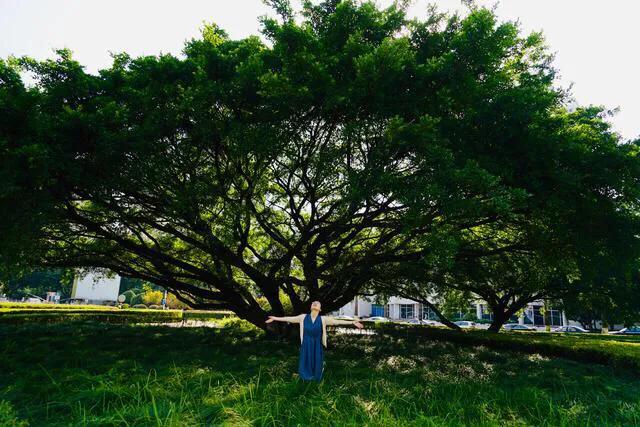 温州的学校传说,20年前温州学校回忆