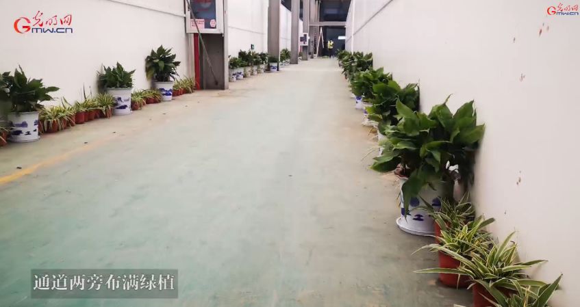 新冠肺炎重症治疗费多少钱,新冠肺炎治疗费