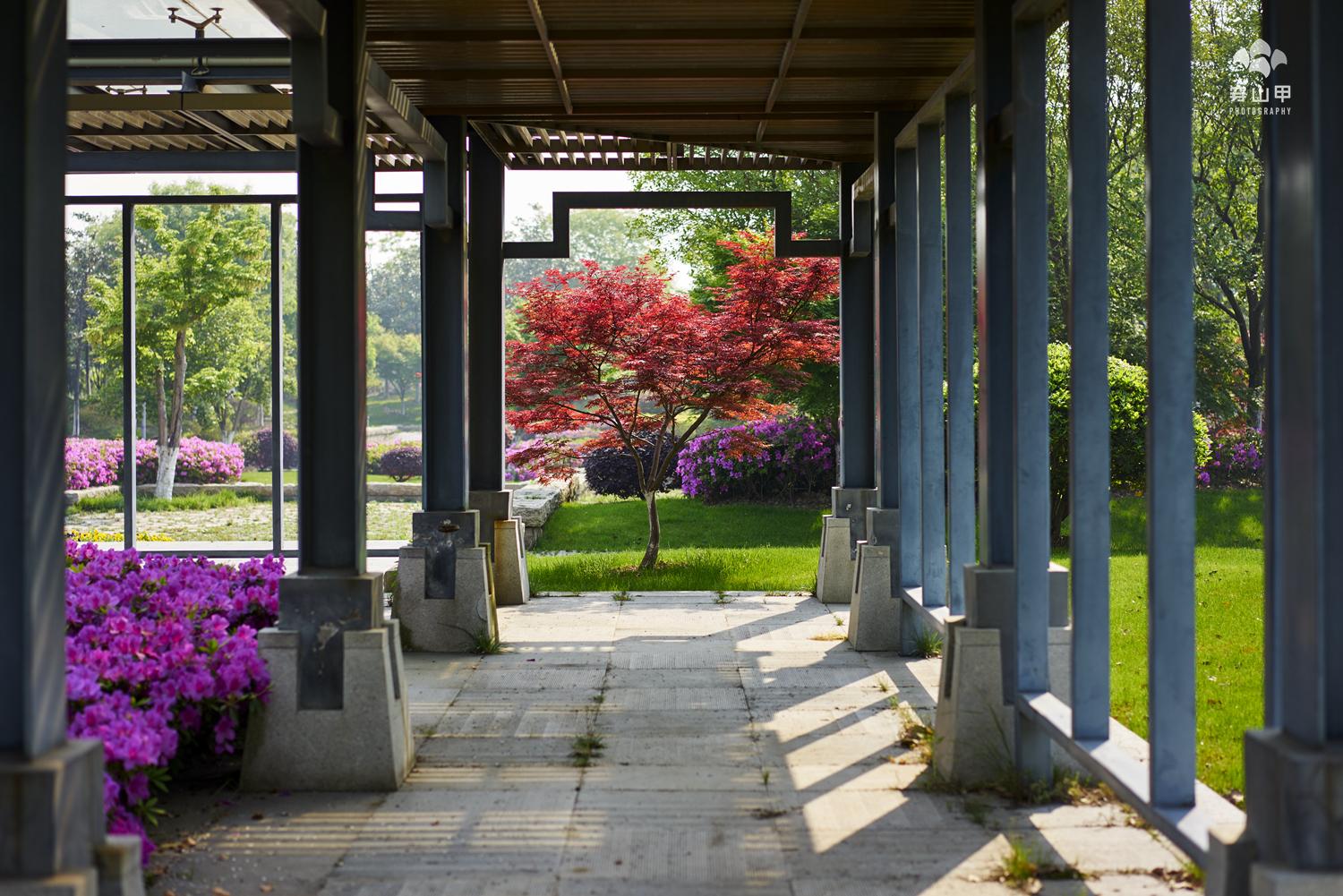 徒步无锡古运河寻找美景,无锡最美沿太湖路线