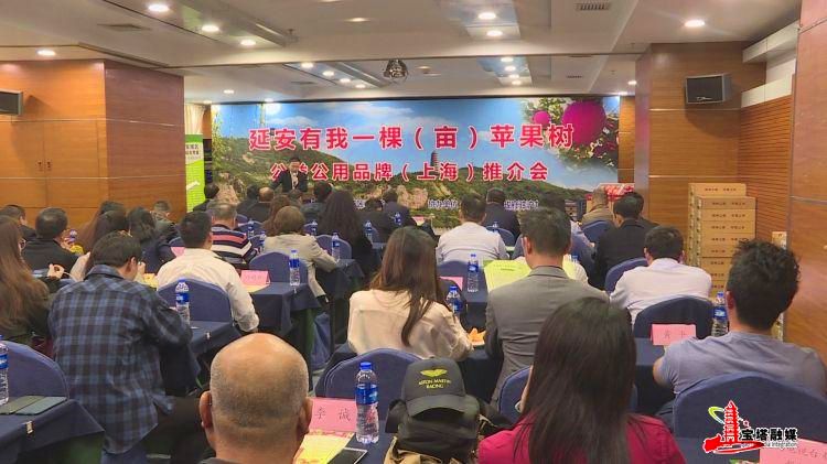 鍔涢噺2022,鍔涢噺2020