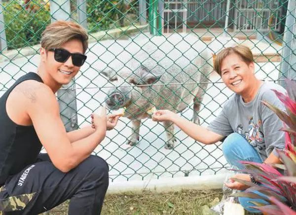 胡歌养的5只什么猫,胡歌的宠物猫