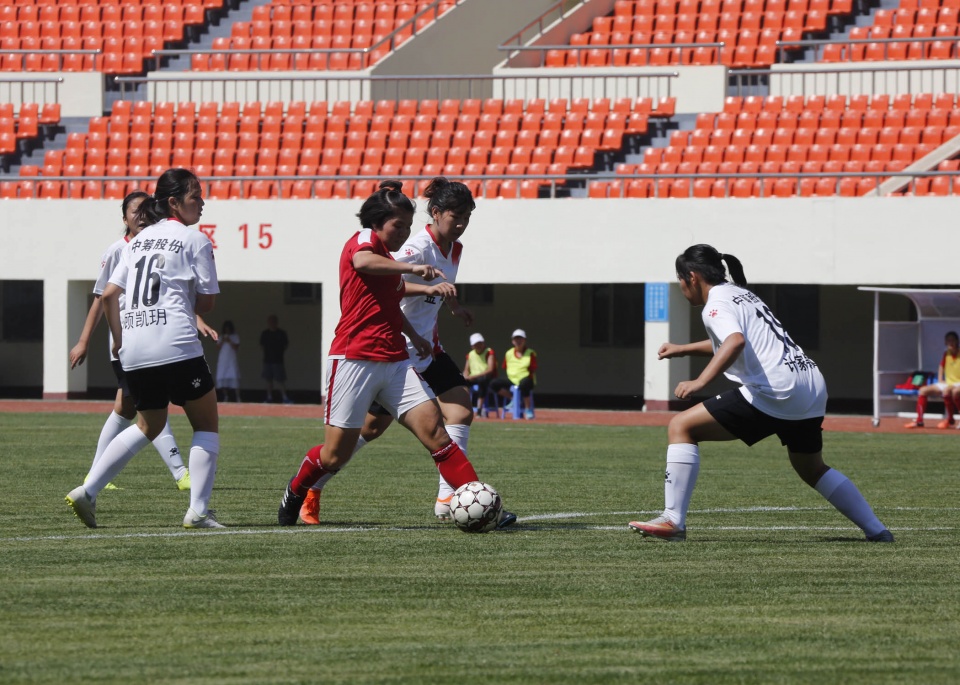 二青会女子甲组48kg散打,二青会乙组女子10米跳台