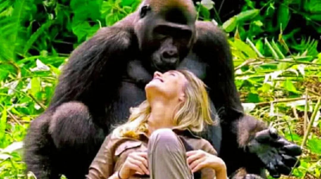 驴和骡子有生殖隔离吗,马和驴有生殖隔离吗