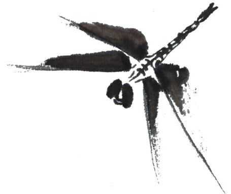 残荷蜻蜓国画画法及调色,徐湛国画蜻蜓的画法