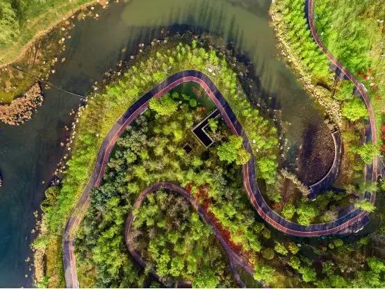 城市公园怎么玩,公园玩法