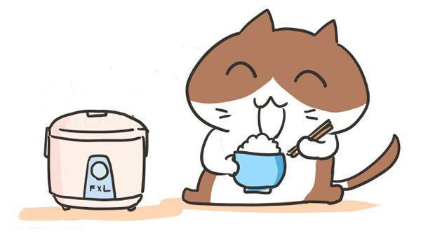 你不知道的关于宠物的7个谣言,宠物无谷粮什么意思