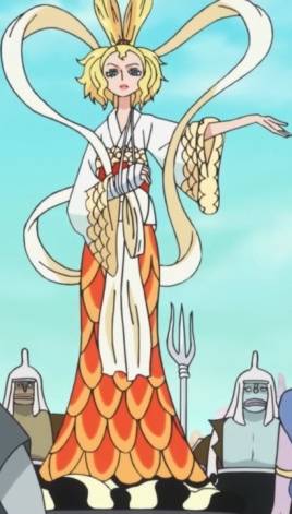 海贼王里十大最漂亮的女性,海贼王女性角色介绍大全