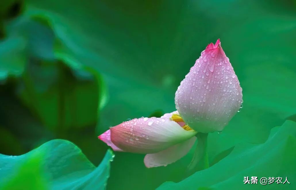 我们终此一生就要摆脱他人的期待,我们终其一生就是要摆脱别人期待