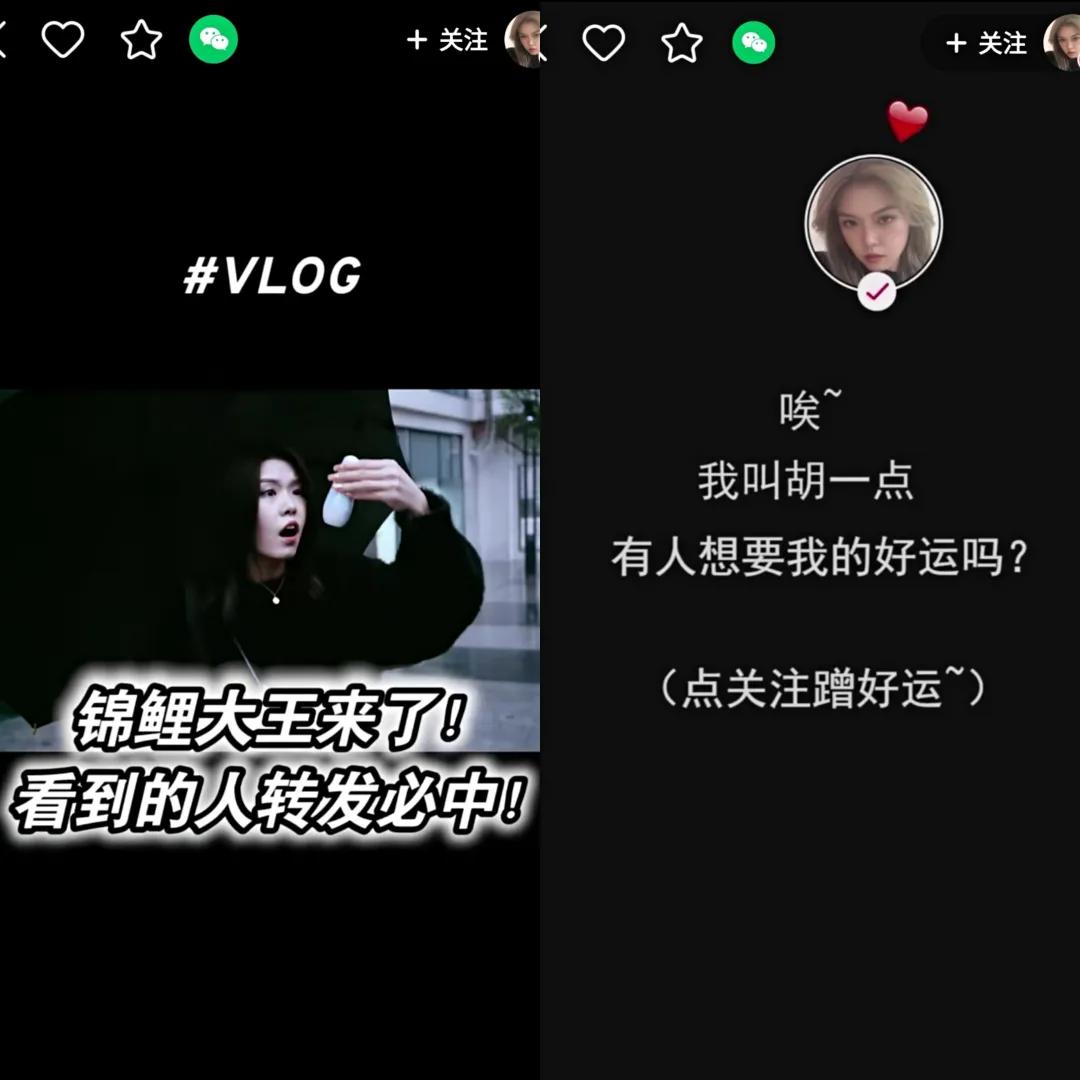 成为快手锦鲤达人要多少钱,成为快手锦鲤达人要多久