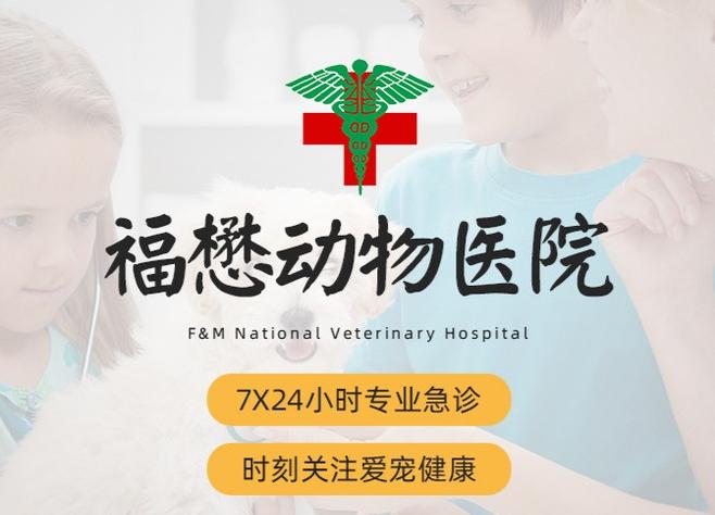 南宁二十四小时宠物医院,南宁宠物医院24小时急诊多少钱