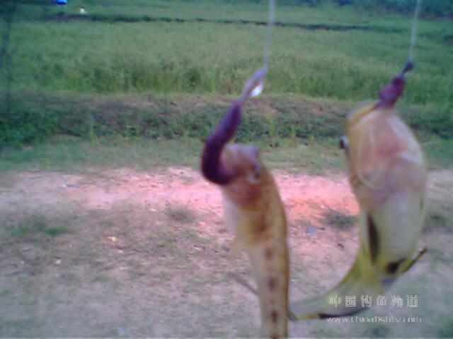 钓鱼初学入门教学方法图解,初学钓鱼技巧