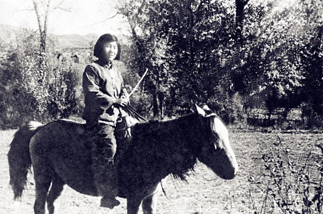 我为祖国献石油简介,我为祖国献石油文章