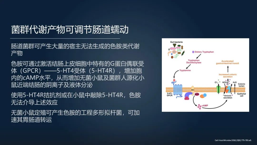 一招调理肠道改善便秘,肠道水疗治便秘有效吗