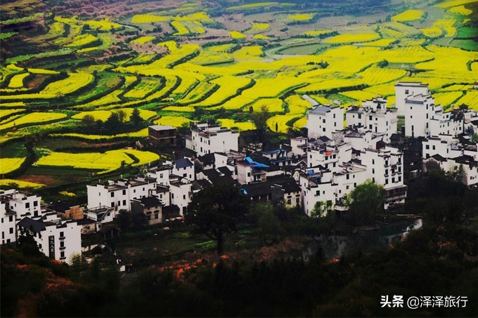 中国最美油菜花海汉中,中国最美油菜花海排名