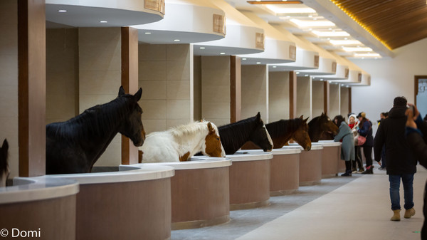 中国马镇冰火节,跨年旅行新体验中国马镇冰火节