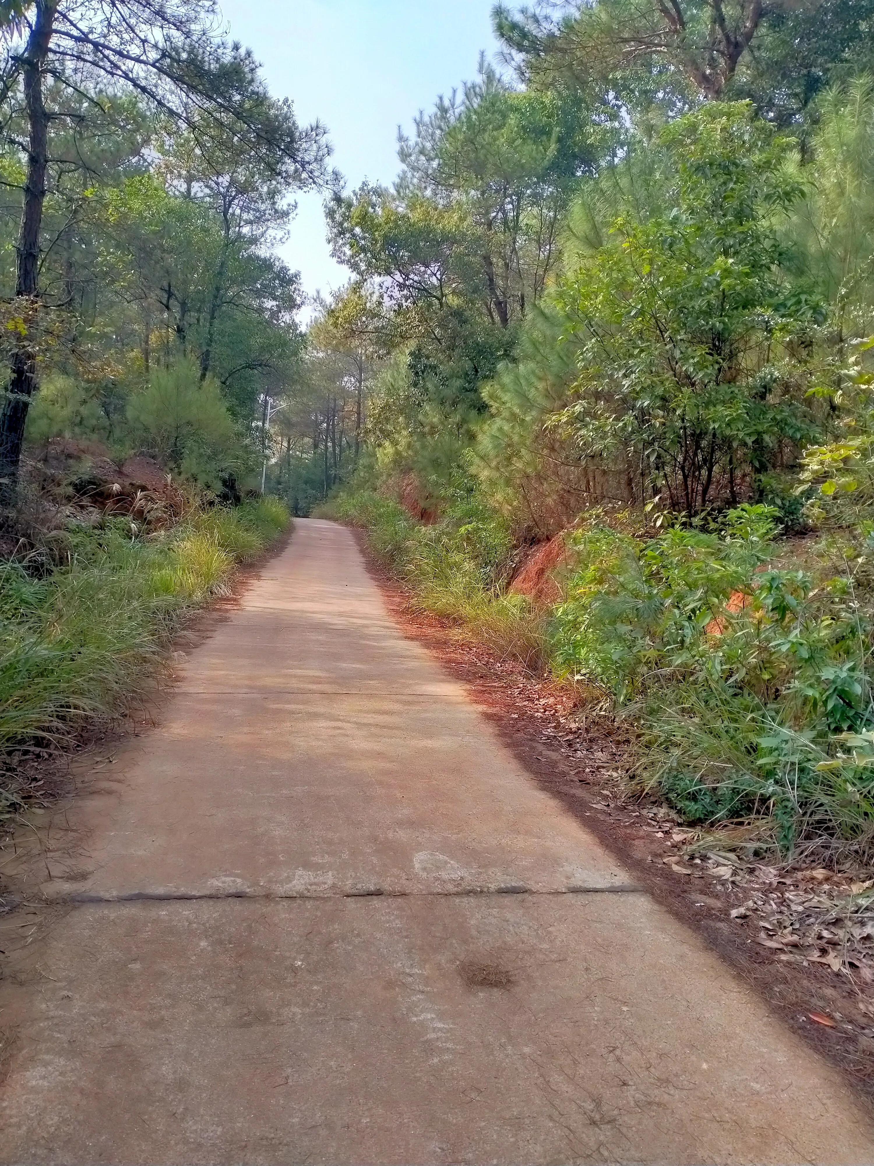 36岁再见37岁你好文字说说,47岁再见48岁你好图片