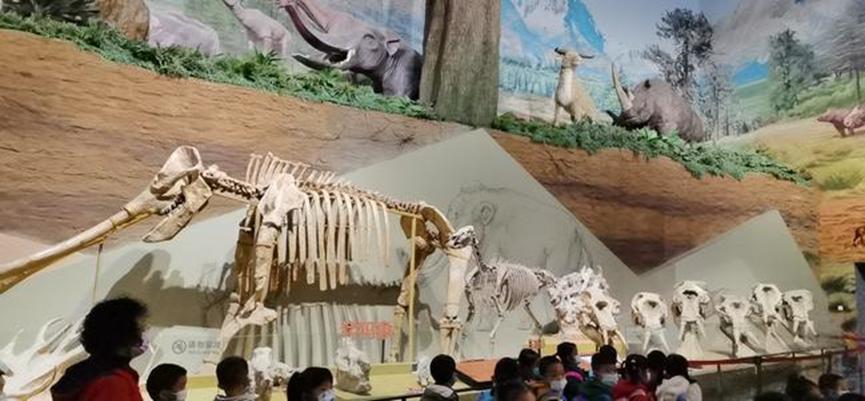 全国旅游热门城市柳州,柳州成为旅游热门城市