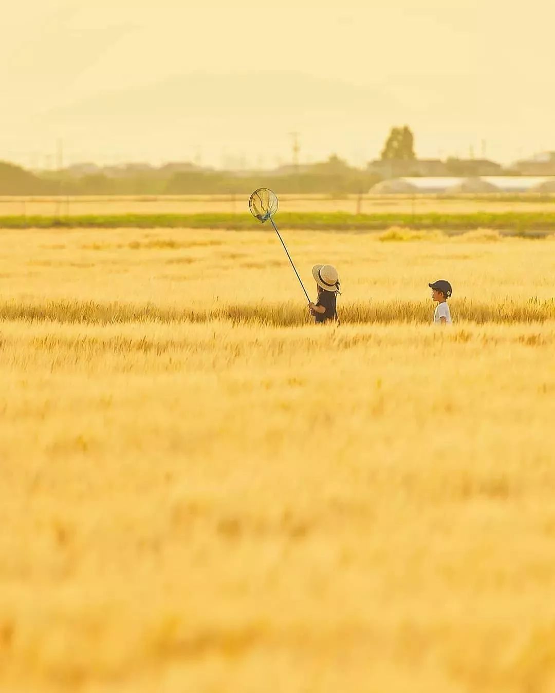 日本老爹把孩子拍成宫崎骏动画,日本爸爸把男孩子拍出宫崎骏