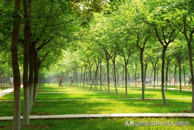 一所大学就是一座城！让你爱上西北农林科技大学的5大理由