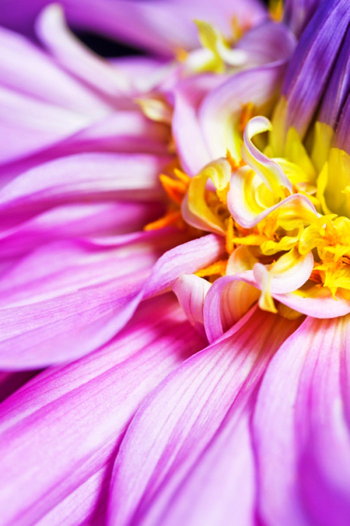 12月20日早安正能量阳光的说说,阳光心态正能量短句子很燃很励志