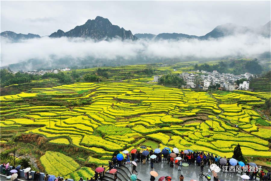 朱虹江西省人大,朱虹江西