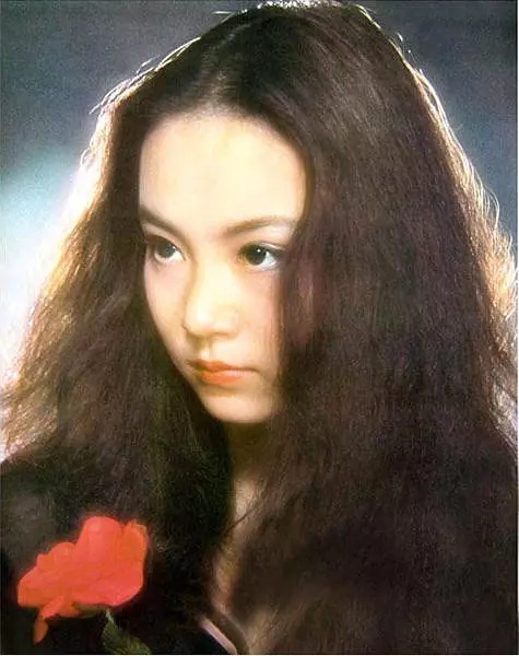 刘雪华比琼瑶大多少,刘雪华琼瑶剧有多成功