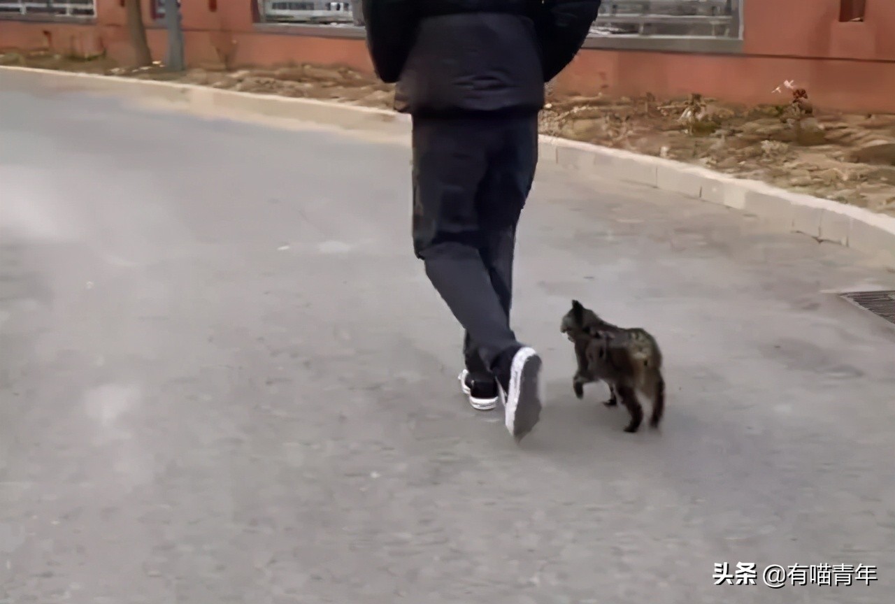 24岁男子喜当爹去派出所,90后男子相亲被误当爹