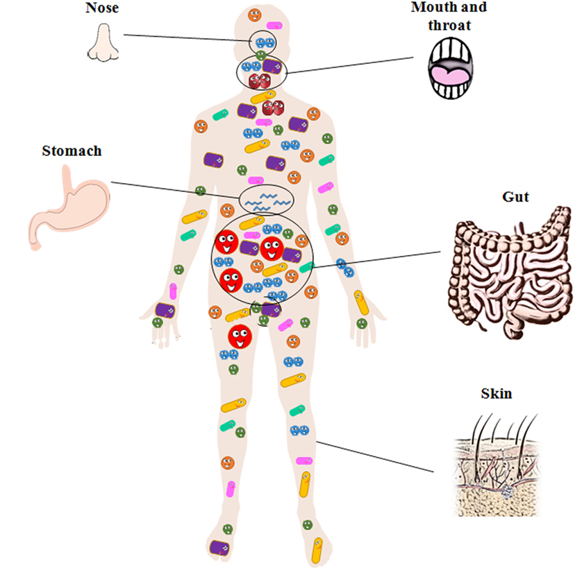 用肉眼能看到的细菌是什么,肉眼看不见的细菌能看见人吗