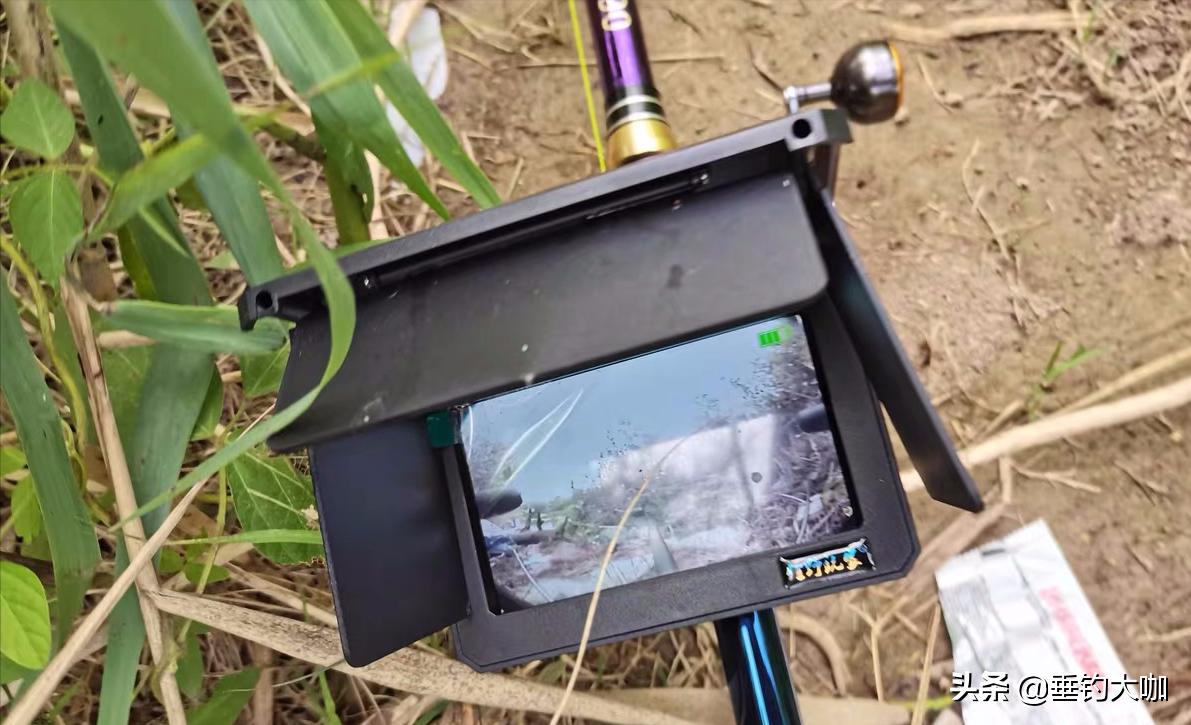 禁钓区锚鱼怎么处罚,非禁钓区域锚鱼怎么样