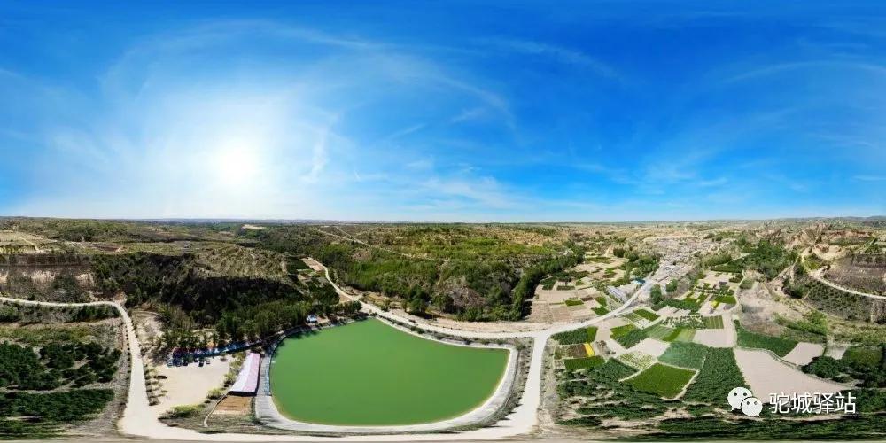 榆林牡丹园,榆林千年牡丹园