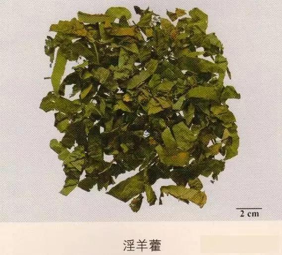 中药材图片大全大图带药名,200多味中药材图谱带图