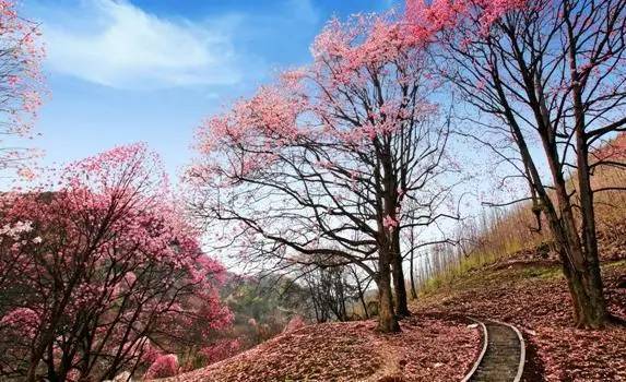 成都出发四川10日自驾游最佳路线,成都到四川自驾游最佳攻略