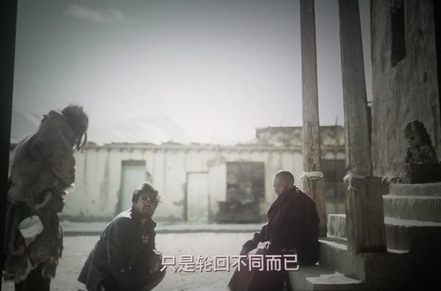 撞死了一只羊影评,撞死了一只羊主题分析