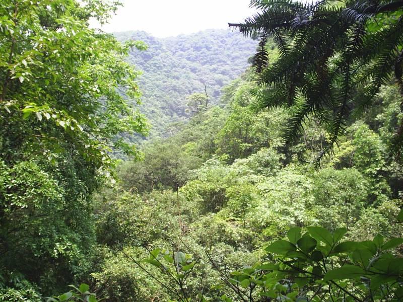 浙江有哪些奇特的景观,浙江有哪些珍稀花草
