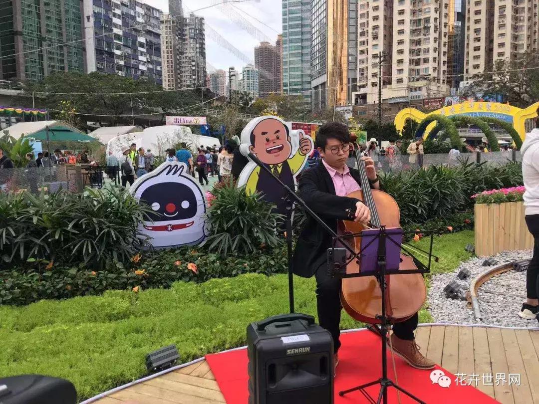 香港花卉艺术展,共赴盛会活动